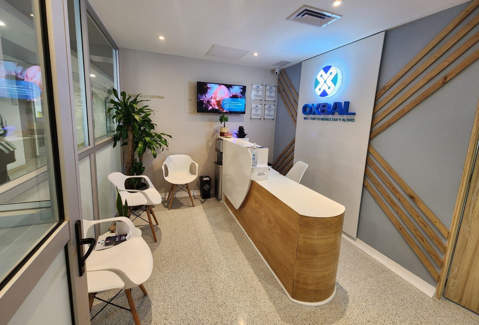 Imagen recepcion OXBAL